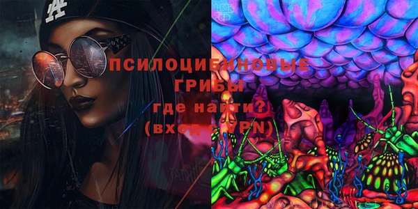 молекула духа Алзамай