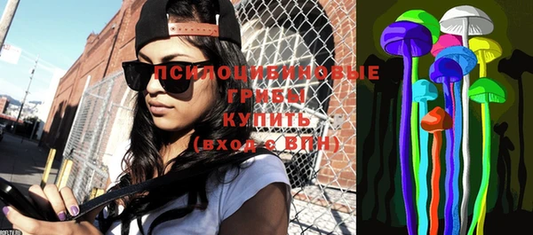 молекула духа Алзамай