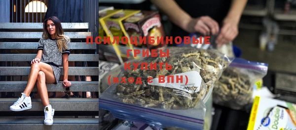 молекула духа Алзамай